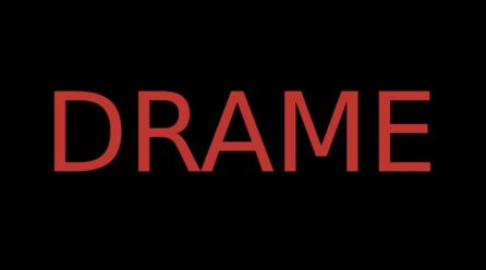 Bembèrèkè: Un adolescent tué dans une bagarre de fille.