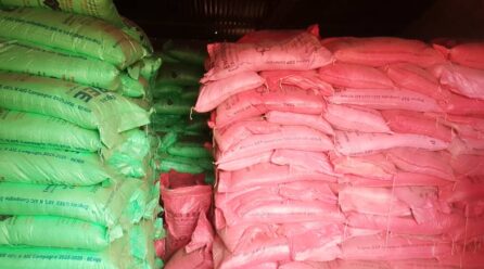 Agriculture: les préparatifs de la campagne agricole 2025-2026 avancés!