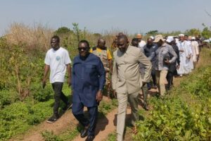 Bénin: démarrage de la campagne de vaccination des animaux.