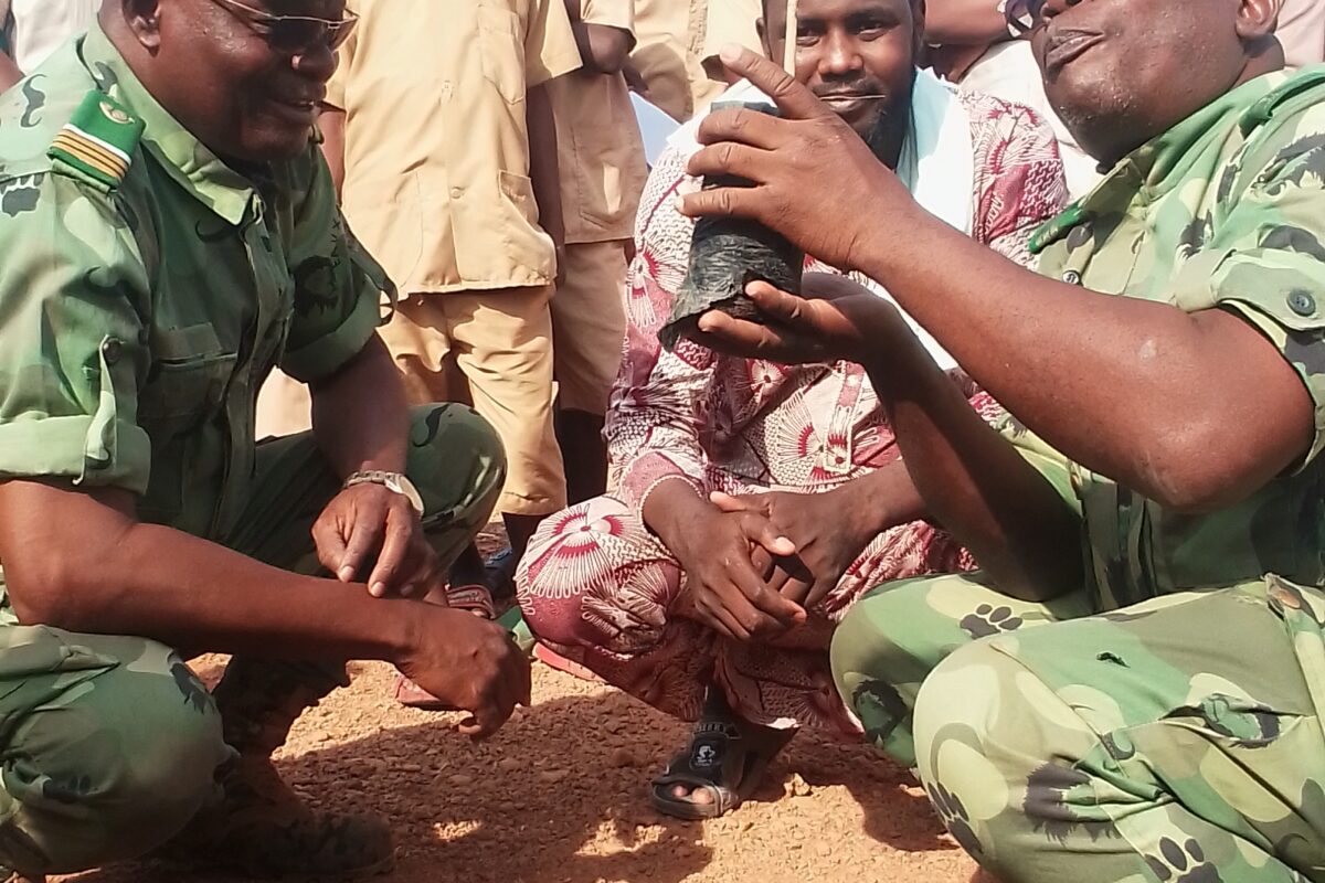 Journée mondiale des forêts: plusieurs pants mis en terre à Kandi