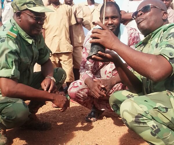Journée mondiale des forêts: plusieurs pants mis en terre à Kandi