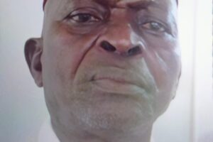 Cour Royale de Banikoara: après l’intronisation, voici ce qu’il faut savoir