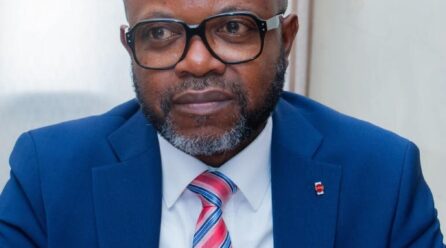 Conseil Economique et Social: la coordination du Mono installée