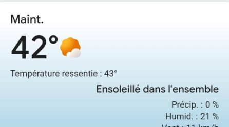 Canicule ! Plantons les arbres et entretenons les