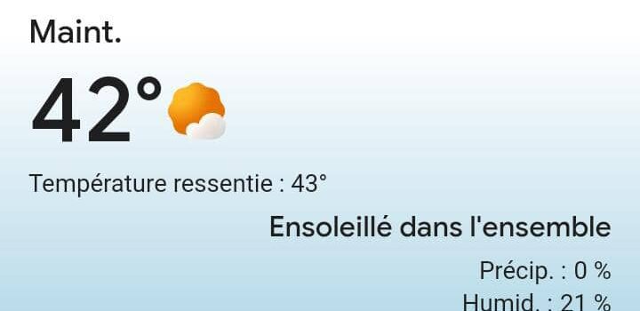 Canicule ! Plantons les arbres et entretenons les