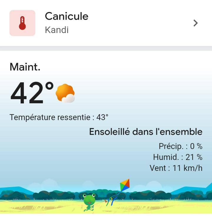 Canicule ! Plantons les arbres et entretenons les