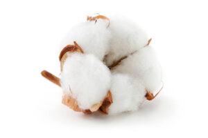 Kandi: les assemblées générales ordinaires démarrent