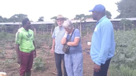 𝐅𝐨𝐫𝐦𝐚𝐭𝐢𝐨𝐧 𝐞𝐭 𝐞𝐦𝐩𝐥𝐨𝐢 𝐝𝐞𝐬 𝐣𝐞𝐮𝐧𝐞𝐬 : 𝐋𝐞 𝐂𝐅𝐋 𝐞𝐭 𝐥𝐞 𝐆𝐫𝐨𝐮𝐩𝐞 𝐊-𝐃.𝐊 𝐯𝐞𝐫𝐬 𝐮𝐧 𝐩𝐚𝐫𝐭𝐞𝐧𝐚𝐫𝐢𝐚𝐭 𝐚𝐮 𝐩𝐫𝐨𝐟𝐢𝐭 𝐝𝐞 𝐥𝐚 𝐣𝐞𝐮𝐧𝐞𝐬𝐬𝐞