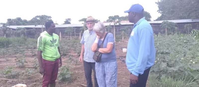 𝐅𝐨𝐫𝐦𝐚𝐭𝐢𝐨𝐧 𝐞𝐭 𝐞𝐦𝐩𝐥𝐨𝐢 𝐝𝐞𝐬 𝐣𝐞𝐮𝐧𝐞𝐬 : 𝐋𝐞 𝐂𝐅𝐋 𝐞𝐭 𝐥𝐞 𝐆𝐫𝐨𝐮𝐩𝐞 𝐊-𝐃.𝐊 𝐯𝐞𝐫𝐬 𝐮𝐧 𝐩𝐚𝐫𝐭𝐞𝐧𝐚𝐫𝐢𝐚𝐭 𝐚𝐮 𝐩𝐫𝐨𝐟𝐢𝐭 𝐝𝐞 𝐥𝐚 𝐣𝐞𝐮𝐧𝐞𝐬𝐬𝐞