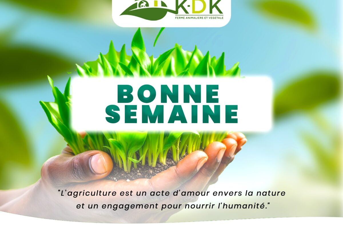 semaine du miel à Cotonou: la ferme K-d.k au rendez-vous