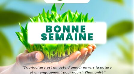 semaine du miel à Cotonou: la ferme K-d.k au rendez-vous