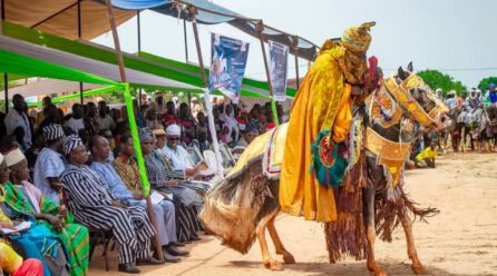Festival Dum Dweebu/Concours du plus beau cheval Yérima Somin de Kandi remporte le premier prix