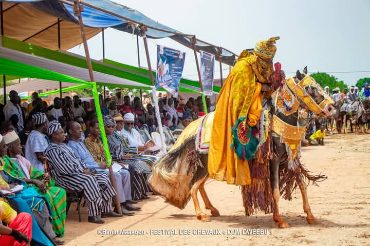 Festival Dum Dweebu/Concours du plus beau cheval Yérima Somin de Kandi remporte le premier prix