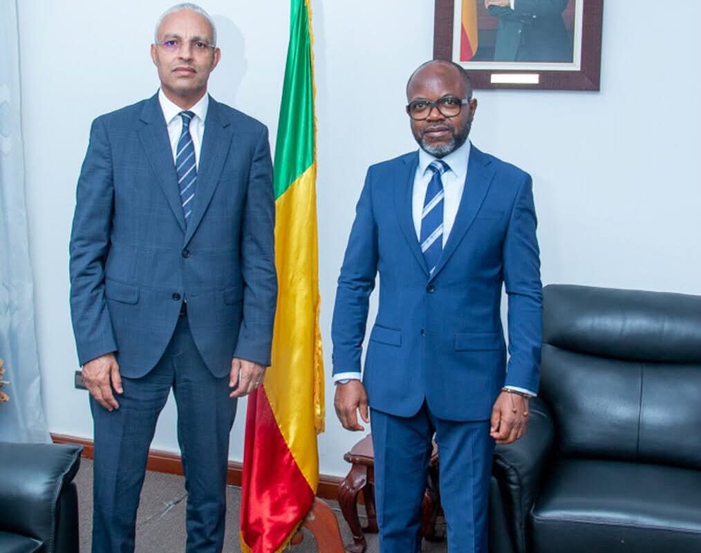 Conseil Economique et Social: le DG Moov Africa au cabinet de Conrad GBAGUIDI