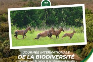 Journée internationale de la biodiversité: message de African Parks Bénin