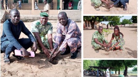 Journée nationale de l’arbre: mise en terre de plants et sensibilisation à Malanville
