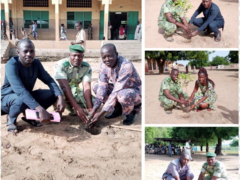 Journée nationale de l’arbre: mise en terre de plants et sensibilisation à Malanville