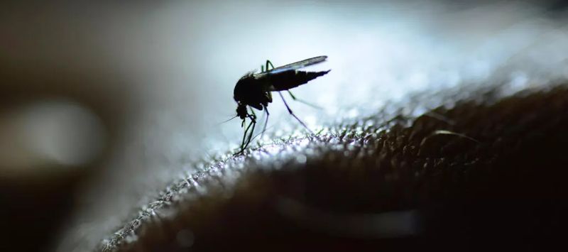 Paludisme à Ikongo : une crise sanitaire sans précédent