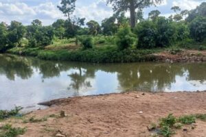 Drame à Kandi : Deux frères se noient dans un point d’eau