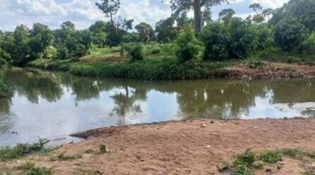 Drame à Kandi : Deux frères se noient dans un point d’eau