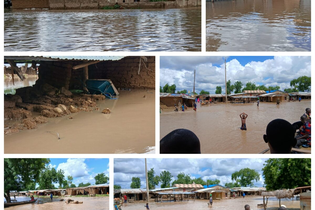 Karimama sous les eaux : L’urgence d’une intervention rapide