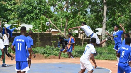 Handball : championnat world cola juniors – résultats de la 2e journée