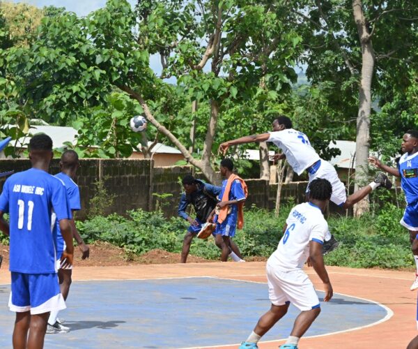 Handball : championnat world cola juniors – résultats de la 2e journée