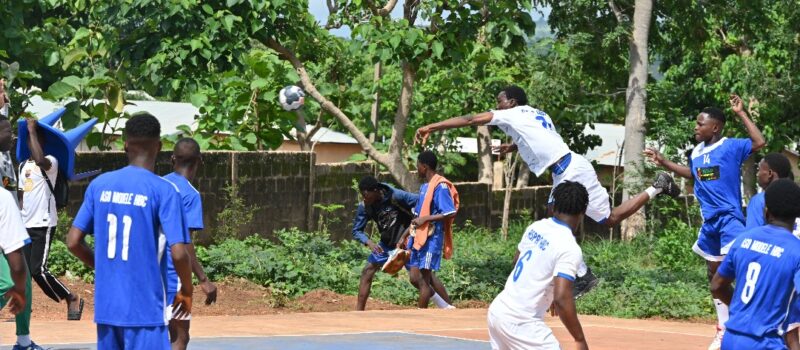 Handball : championnat world cola juniors – résultats de la 2e journée