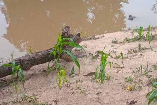 Noyade à Kandi : un homme âgé décède dans un point d’eau