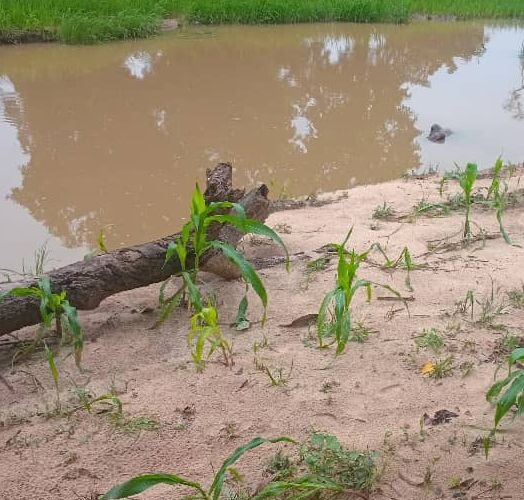 Noyade à Kandi : un homme âgé décède dans un point d’eau