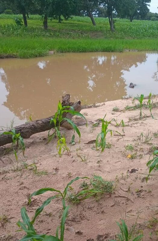 Noyade à Kandi : un homme âgé décède dans un point d’eau